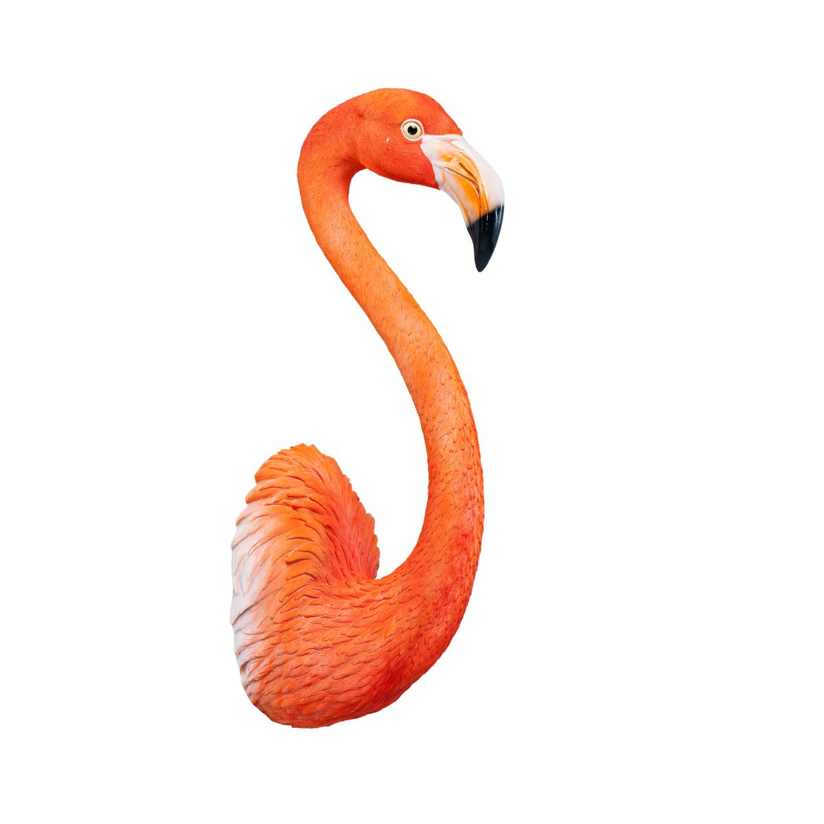Zidna dekoracija Flamingo Road 72cm